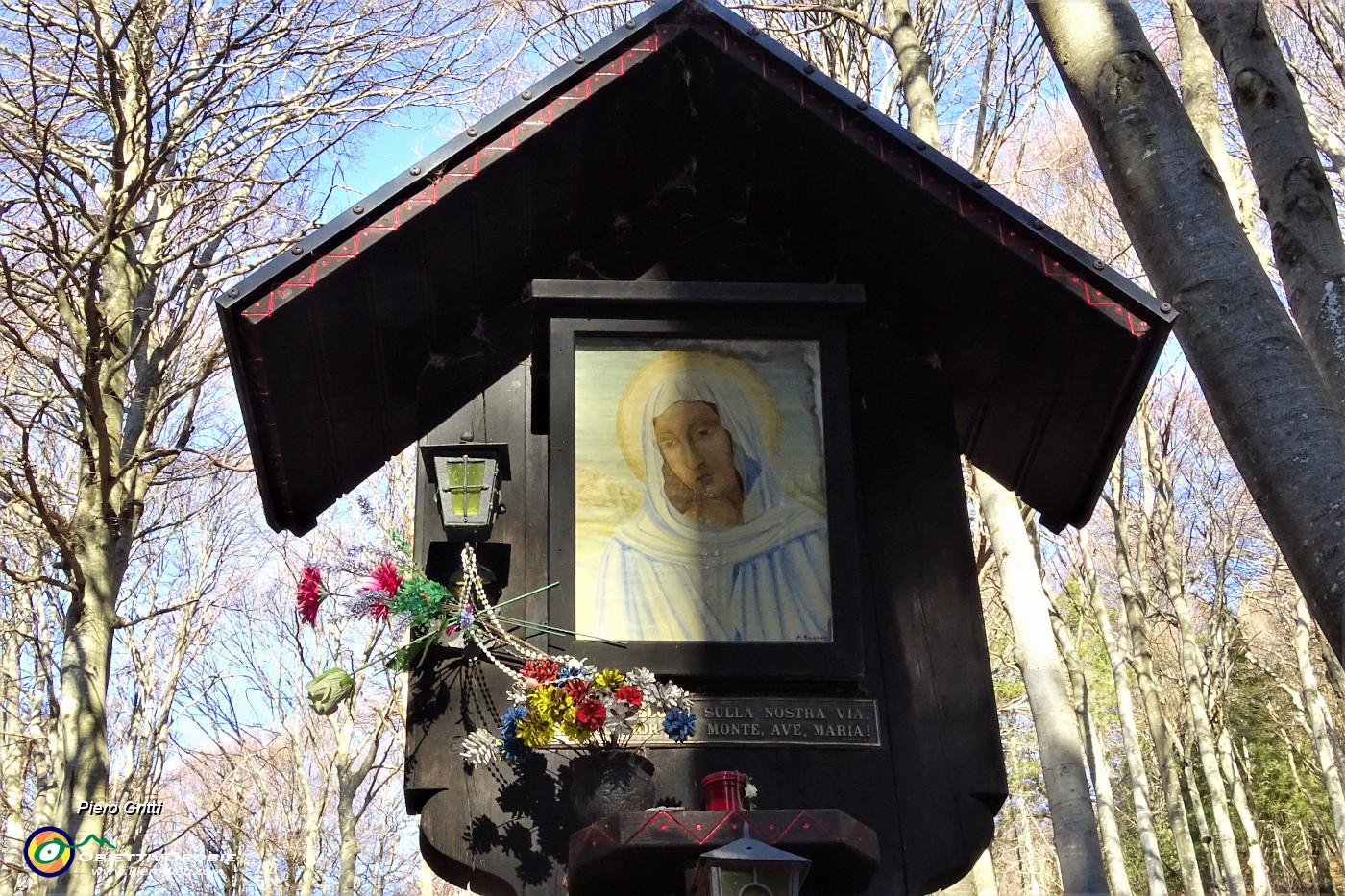 14 Nella faggeta del 'Bosco Giulia' la Madonnina 'sulla nostra via'.JPG